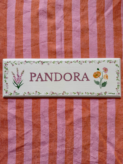 Personalised hand-painted wooden bedroom door plaque with decorative illustrations